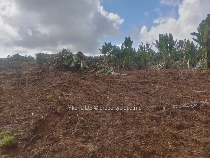Terrain Agricole En Vente À Beau Climat
