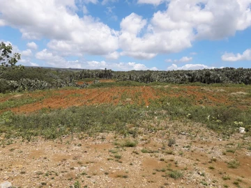 Agricultural Land