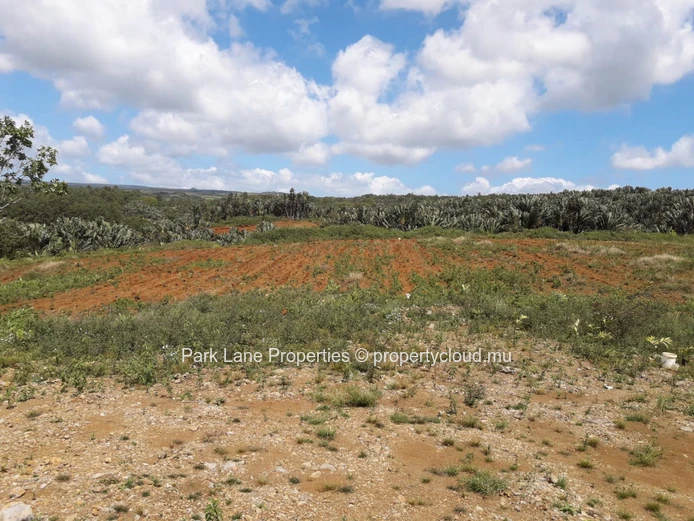 Land with wonderful nature view