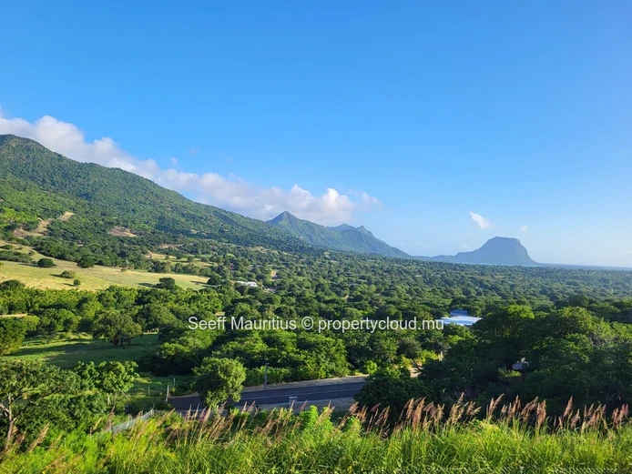 Splendeur sereine : Un vaste terrain avec une vue magnifique