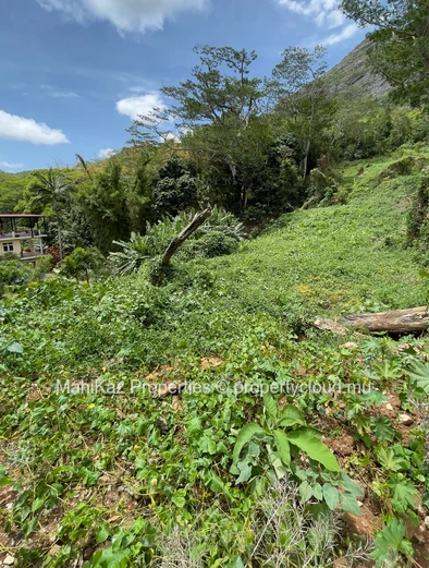 Premium Residential Land For Sale – Near Le Bocage, Mount Ory, Moka.