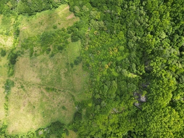 Terrain Agricole