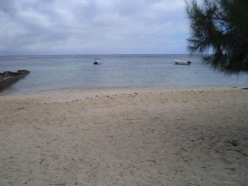 Land