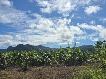 Agricultural Land