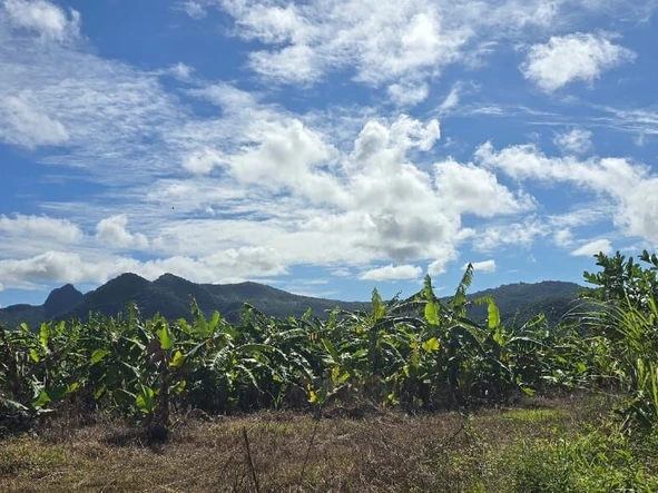 Terrain Agricole