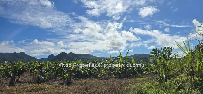 Terrain agricole de 4 216 m² à vendre à Mare d'Albert