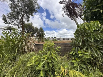 Agricultural Land