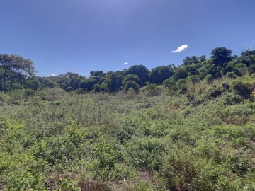 Agricultural Land
