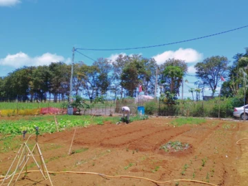 Residential Land
