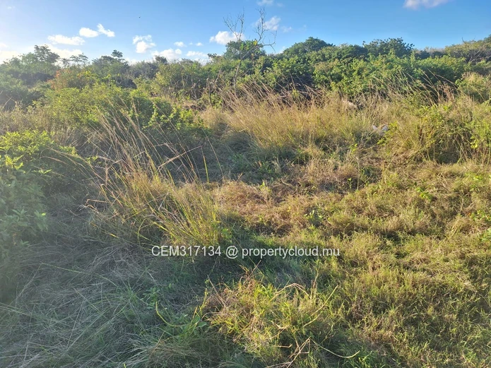 20 Perches Residential Land for Sale – Grand Baie 