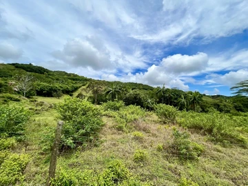 Agricultural Land