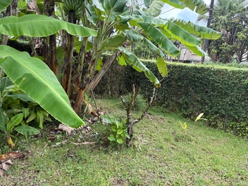 Residential Land