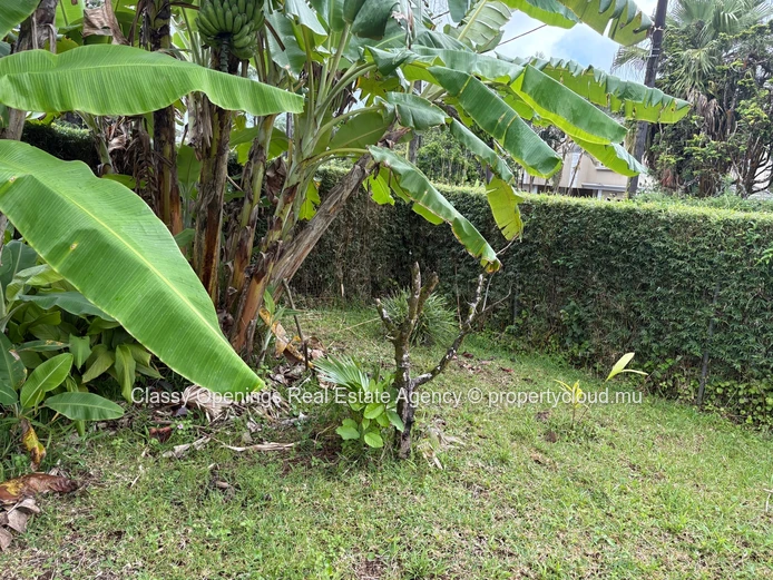 1,015 m² Corner Plot on Quiet Tree-Lined Street, Curepipe