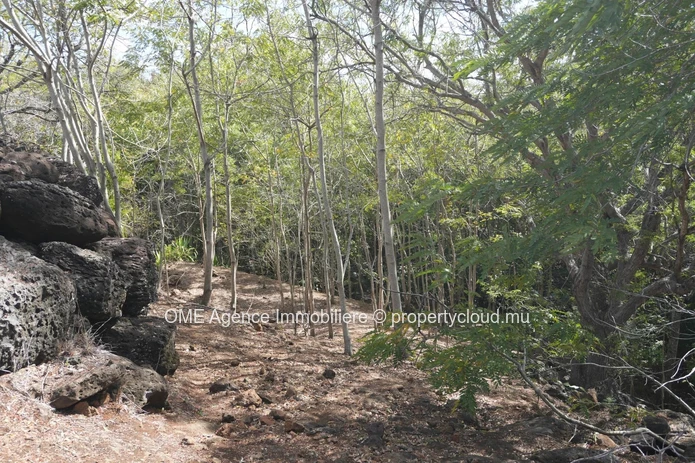 3,311 m² Freehold Land | Mountain Views and River Access