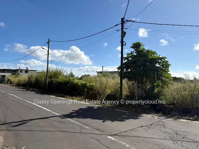 Palm-lined 517 m² Corner Plot in Highlands - Near Bus Stop