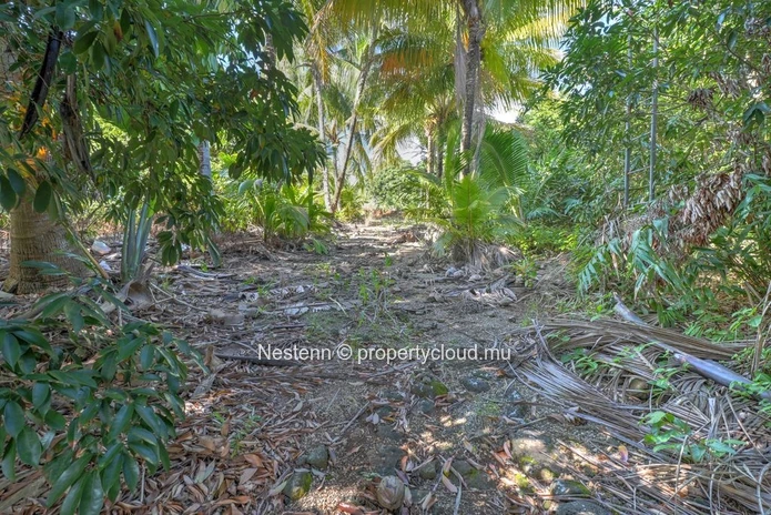 Spacious 275 m² house on a land of 13,802.67 m² in Chemin Grenier with sea and mountain views.
