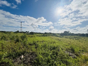 Land