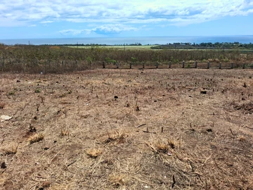 Residential Land