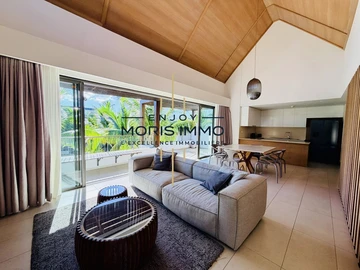 3 Bedroom Penthouse
