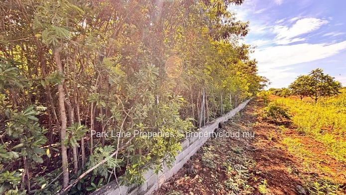 À vendre – Terrain résidentiel de 4 206 m² à Petit Raffray