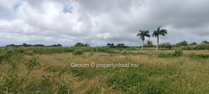 Britannia Agricol freehold plot of land 32867 sqm close to River. (Sole Mandate)