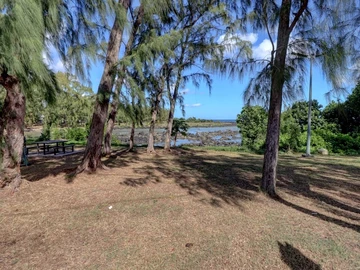 Commercial Land
