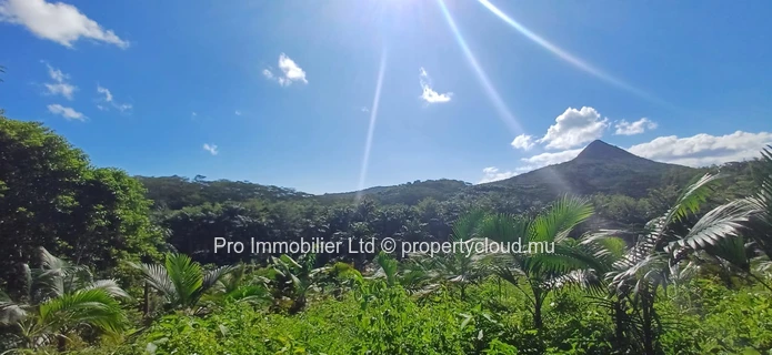 Grand terrain à vendre à Chamarel , 5 563m² avec vue imprenable.
