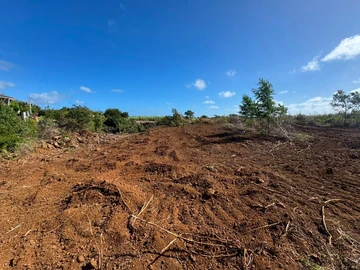 Land