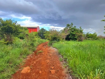 Agricultural Land