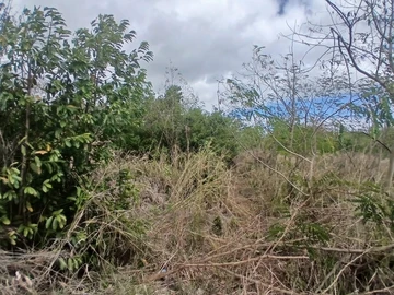 Commercial Land
