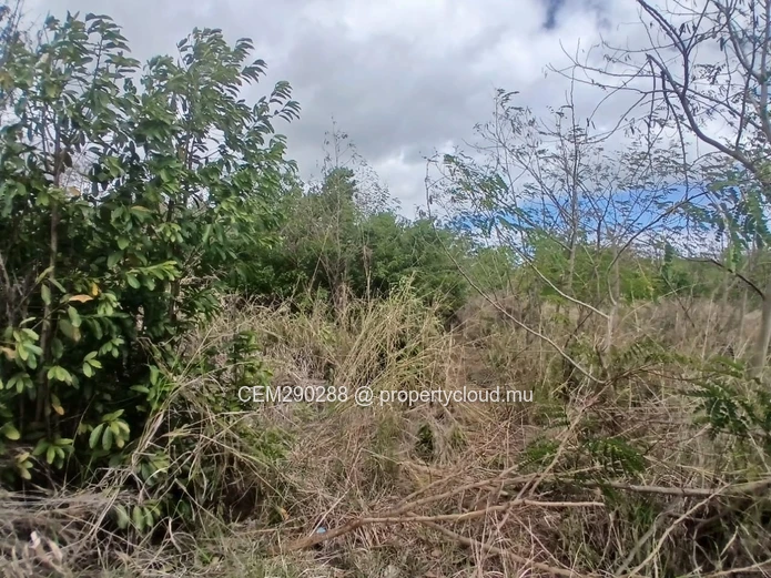 Prime Industrial Land For Sale – Arsenal 