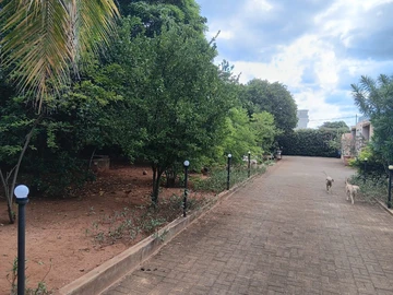 Residential Land