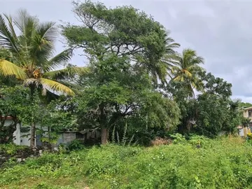 Terrain Résidentiel Surinam