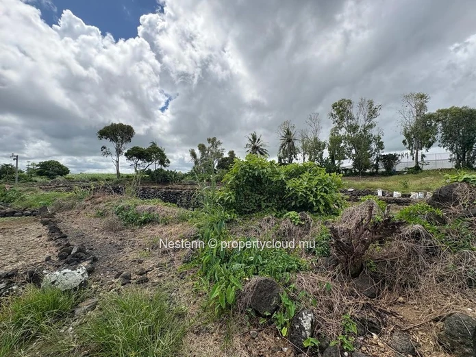 Terrain agricole de 30 perches bien entretenu et bien situé
