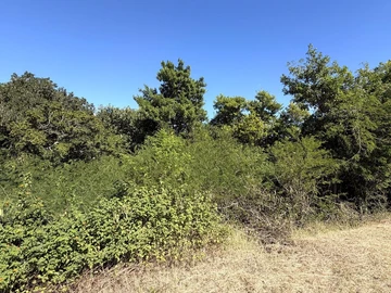 Residential Land