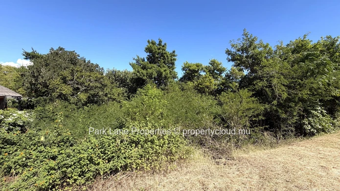 Terrain résidentiel exclusif à vendre avec une vue sublime sur la Montagne