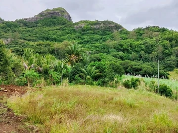 Residential Land