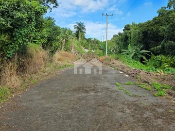 Residential Land