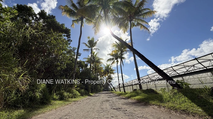 Terrain agricole exceptionnel à vendre – Deux Bras, île Maurice | 4 693 m²