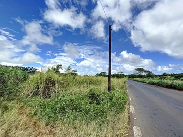 Land