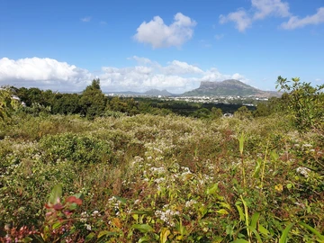 Terrain Résidentiel