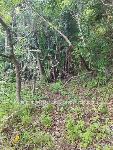 13.38 Arpents of Land for Sale | Anse Jonchée | Grand Port