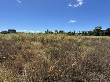 Residential Land