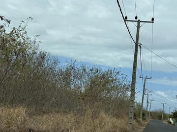 Terrain Commercial