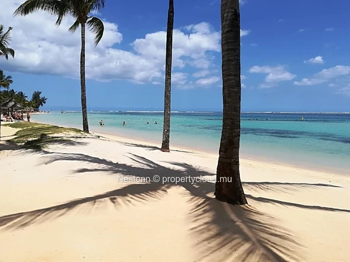 Terrain de 35 981 m2 avec vue époustouflante sur tout le Sud sauvage, idéal pour un projet immobilier