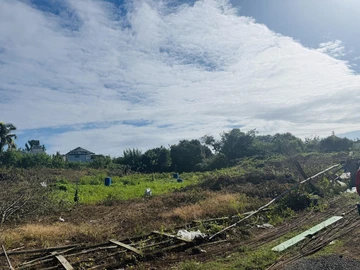 Terrain