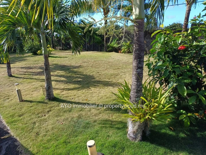 Beautiful 4 bedroom villa with pool and huge garden in Calodyne
