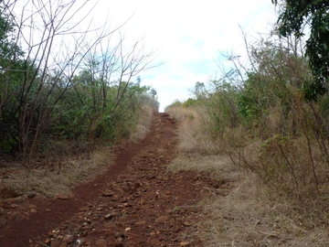 Residential Land
