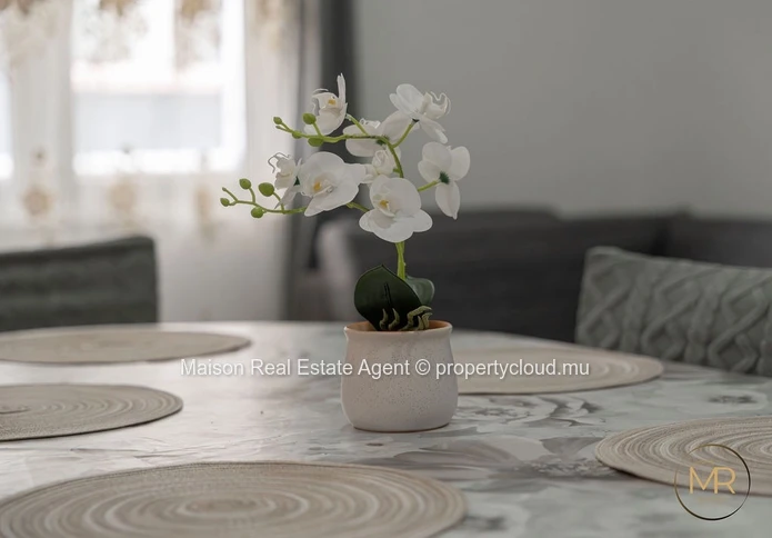 Appartement entièrement meublé à vendre – Poussepasse Lane, Palma