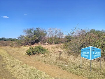 Terrain